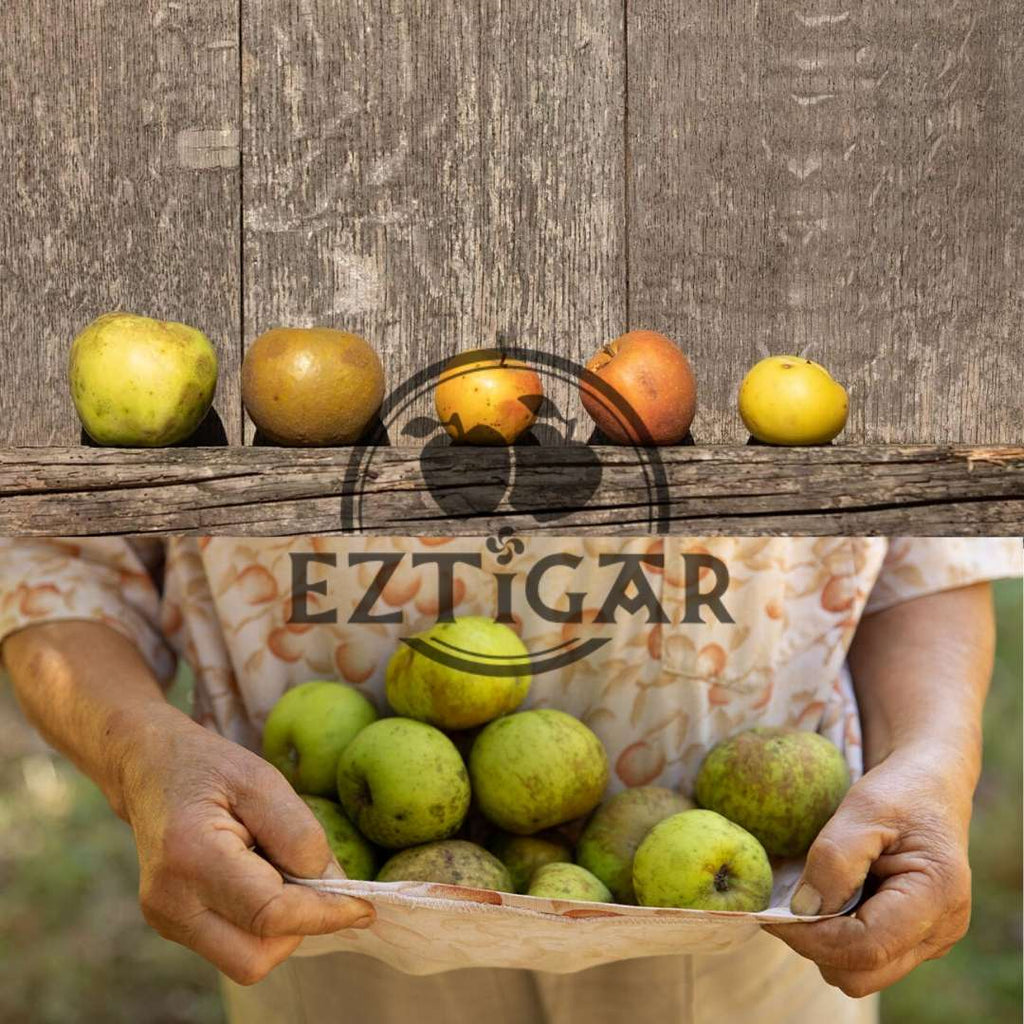 Biologisch appelsap van EZTIGAR - St Just Ibarre / Neder-Navarra - Nederland - FRESKOA STORE