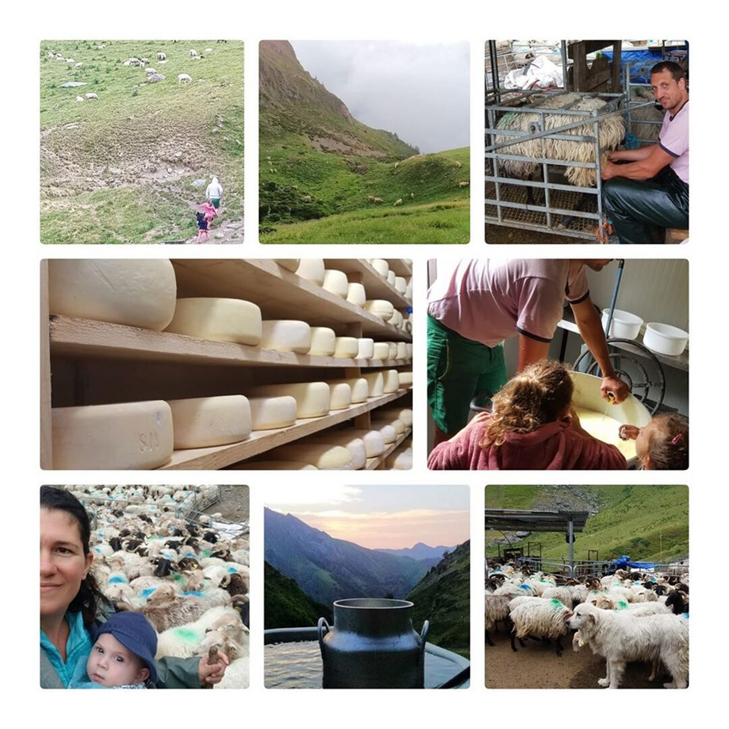 Biologische schapenkaas - BOB Ossau Iraty - Deel van 415g ongeveer door Ferme BIOTZEKO - La Bastide-Clairence / Basse Navarre - Pays-Basque - FRESKOA STORE